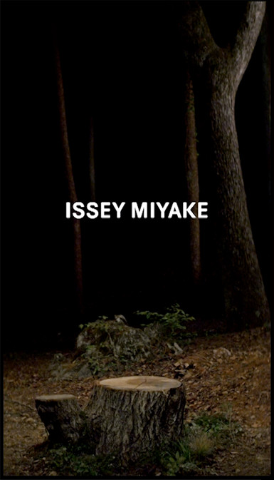 ISSEY MIYAKE 2014AW ポスター